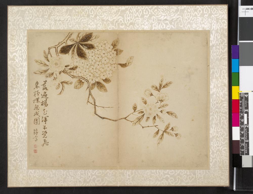 图片[8]-album; painting BM-1930-0203-0.1-China Archive